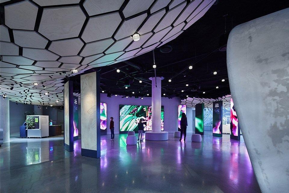 美国西雅图亚马逊总部Understory展厅 / Graham Baba Architects
