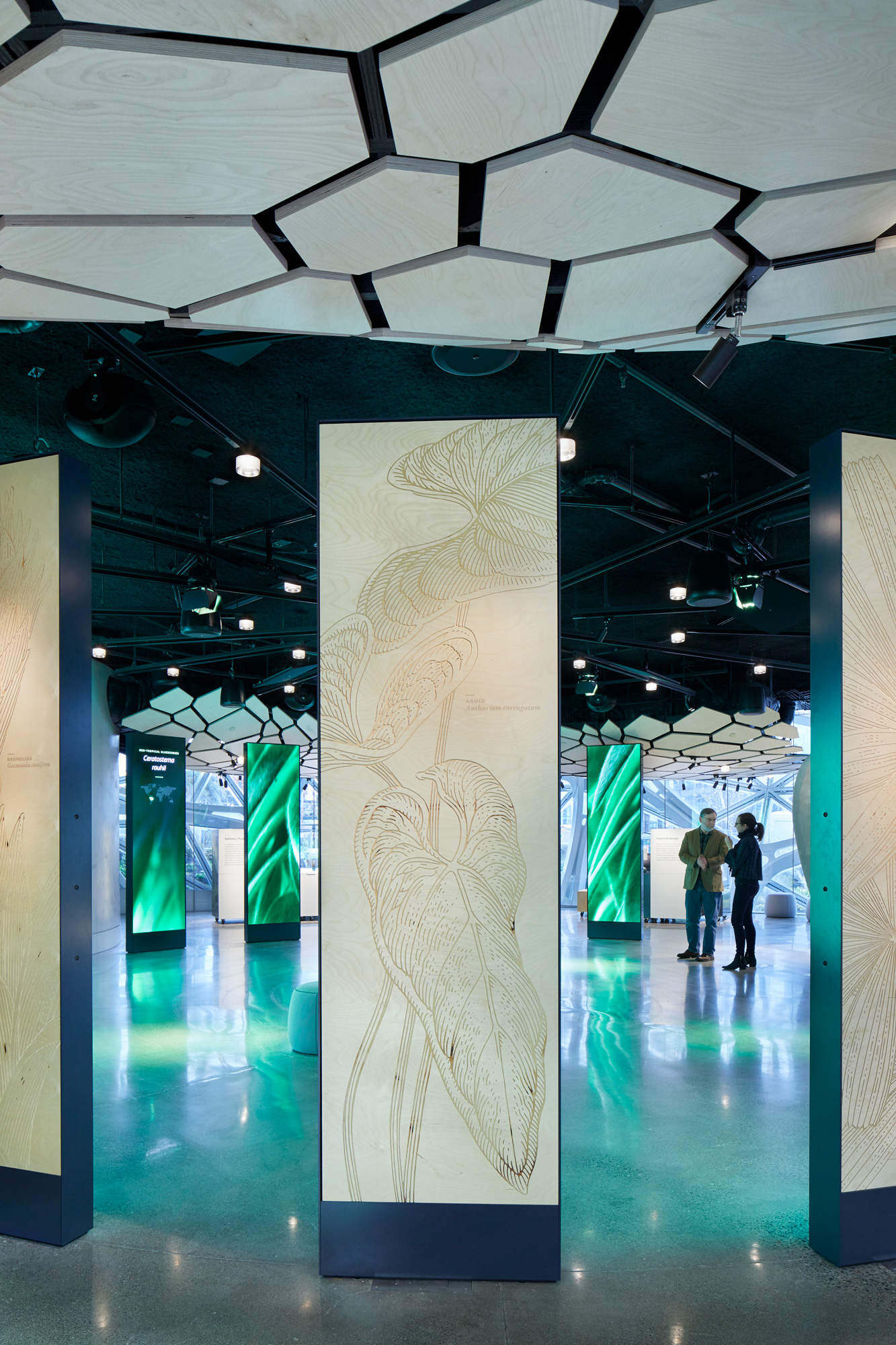 美国西雅图亚马逊总部Understory展厅 / Graham Baba Architects