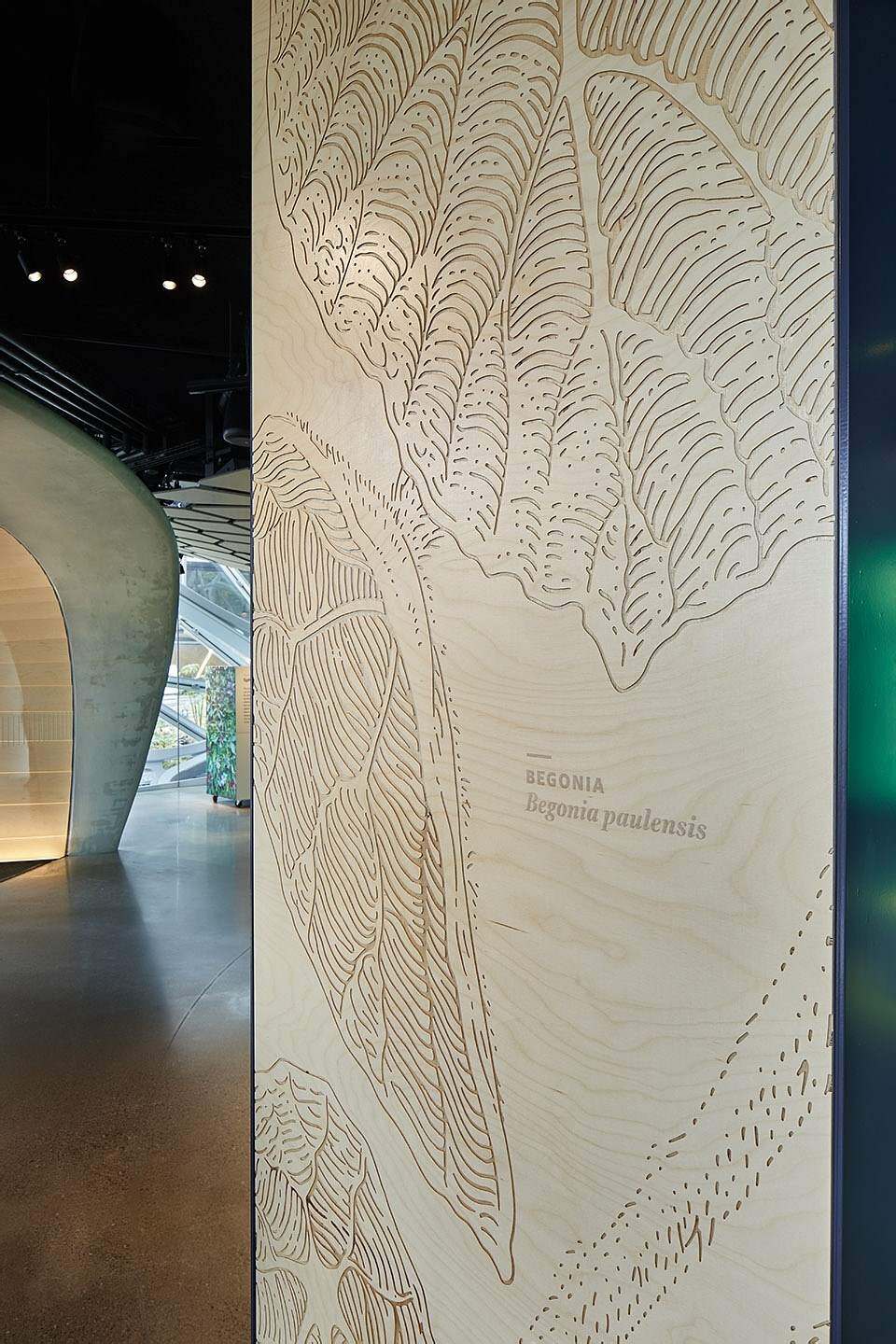 美国西雅图亚马逊总部Understory展厅 / Graham Baba Architects