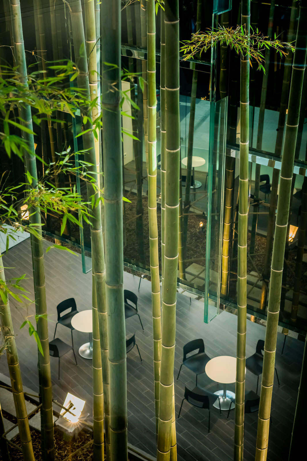 韩国高阳现代汽车文化中心 / ATELIER BRÜCKNER, Delugan Meissl Associated Architects