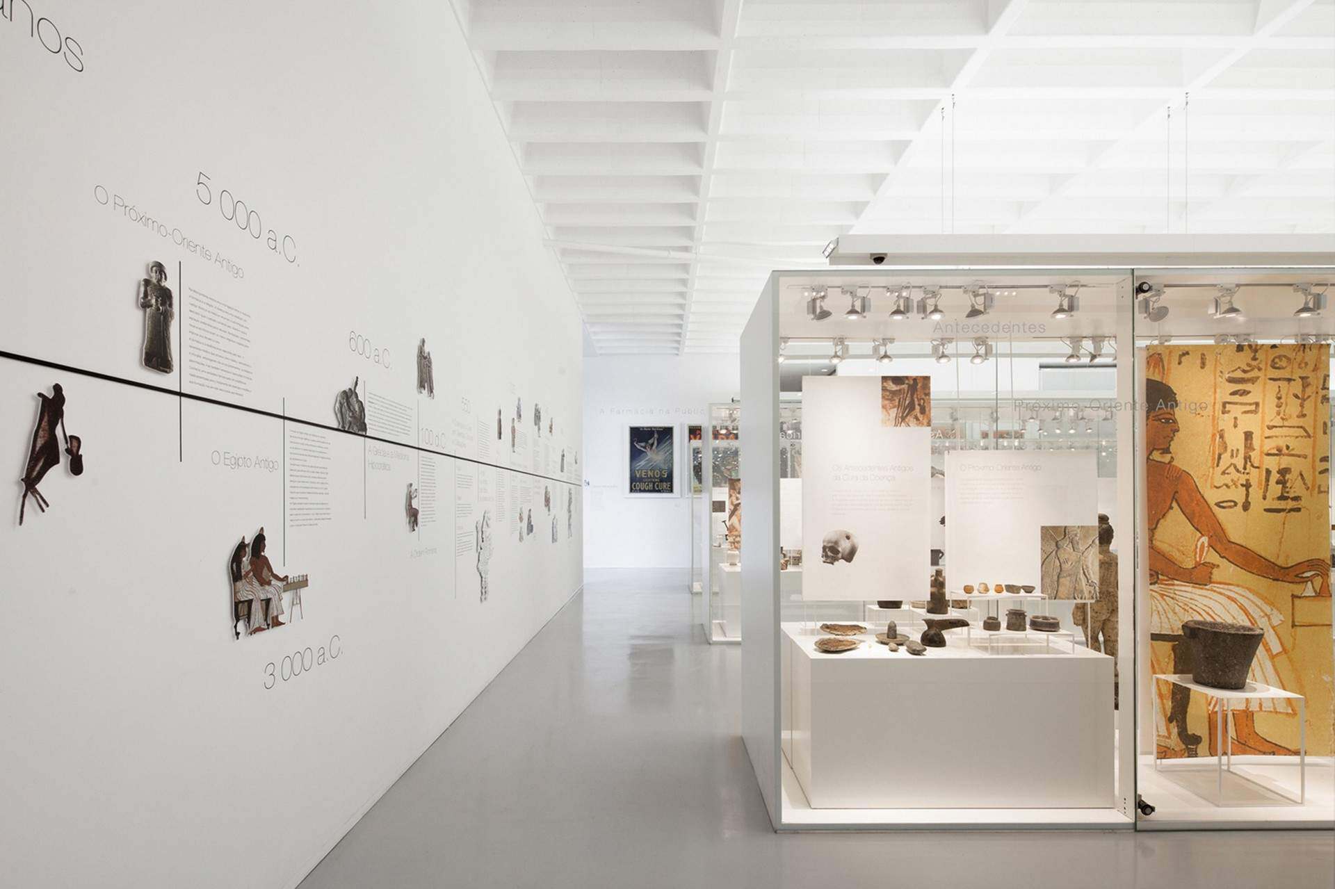 葡萄牙波尔图药学博物馆 / P 06 studio, Site Specific Arquitectura