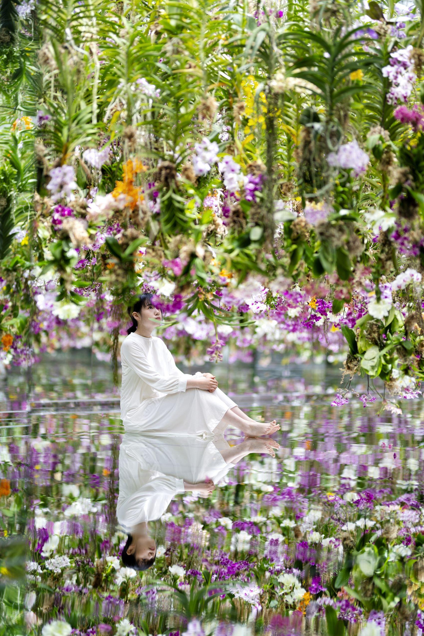 漂浮的花园——花朵与我同根同源，花园与我合为一体 / 澳门teamLab★超自然空间