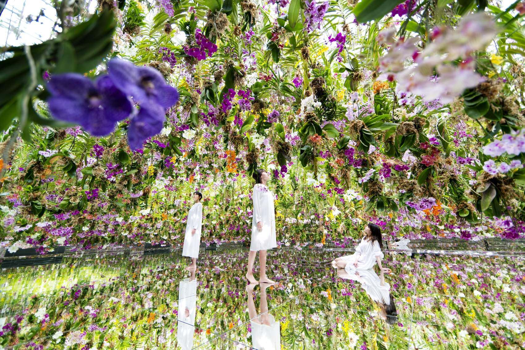 漂浮的花园——花朵与我同根同源，花园与我合为一体 / 澳门teamLab★超自然空间