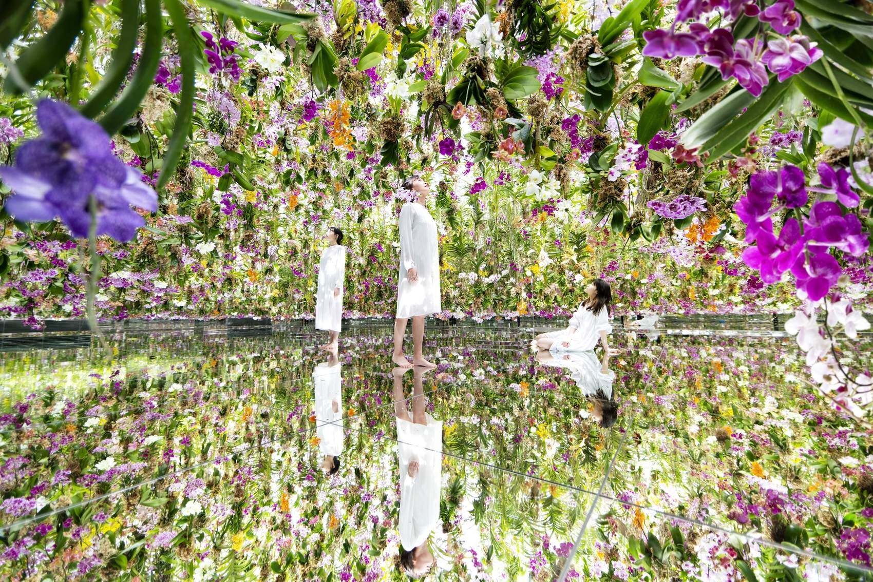 漂浮的花园——花朵与我同根同源，花园与我合为一体 / 澳门teamLab★超自然空间