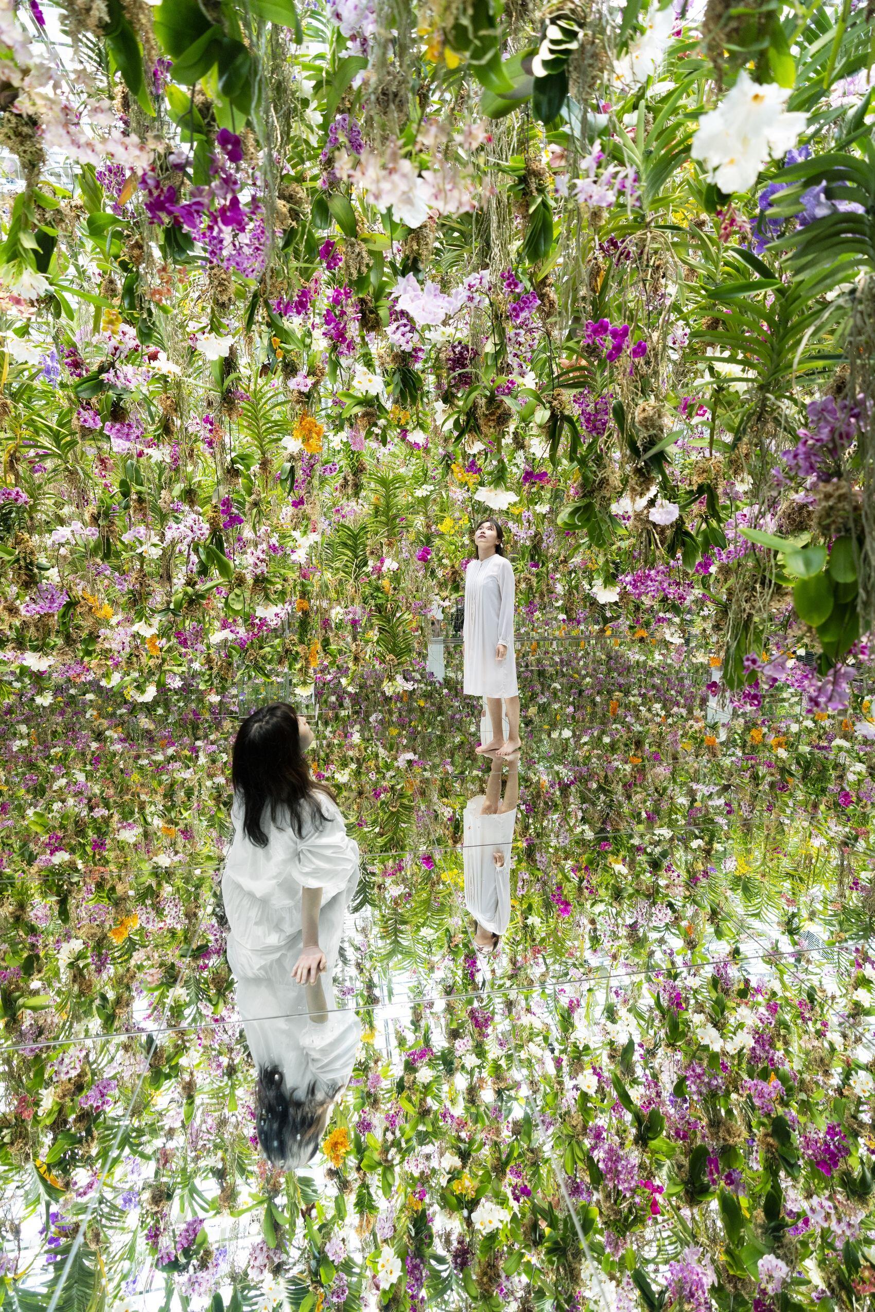 漂浮的花园——花朵与我同根同源，花园与我合为一体 / 澳门teamLab★超自然空间