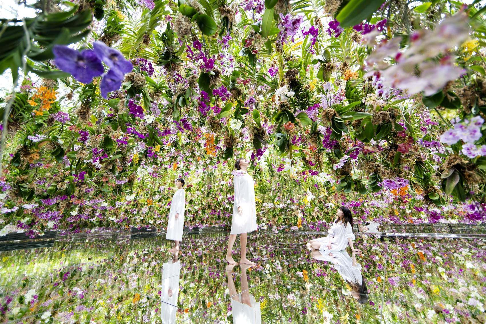 漂浮的花园——花朵与我同根同源，花园与我合为一体 / 澳门teamLab★超自然空间