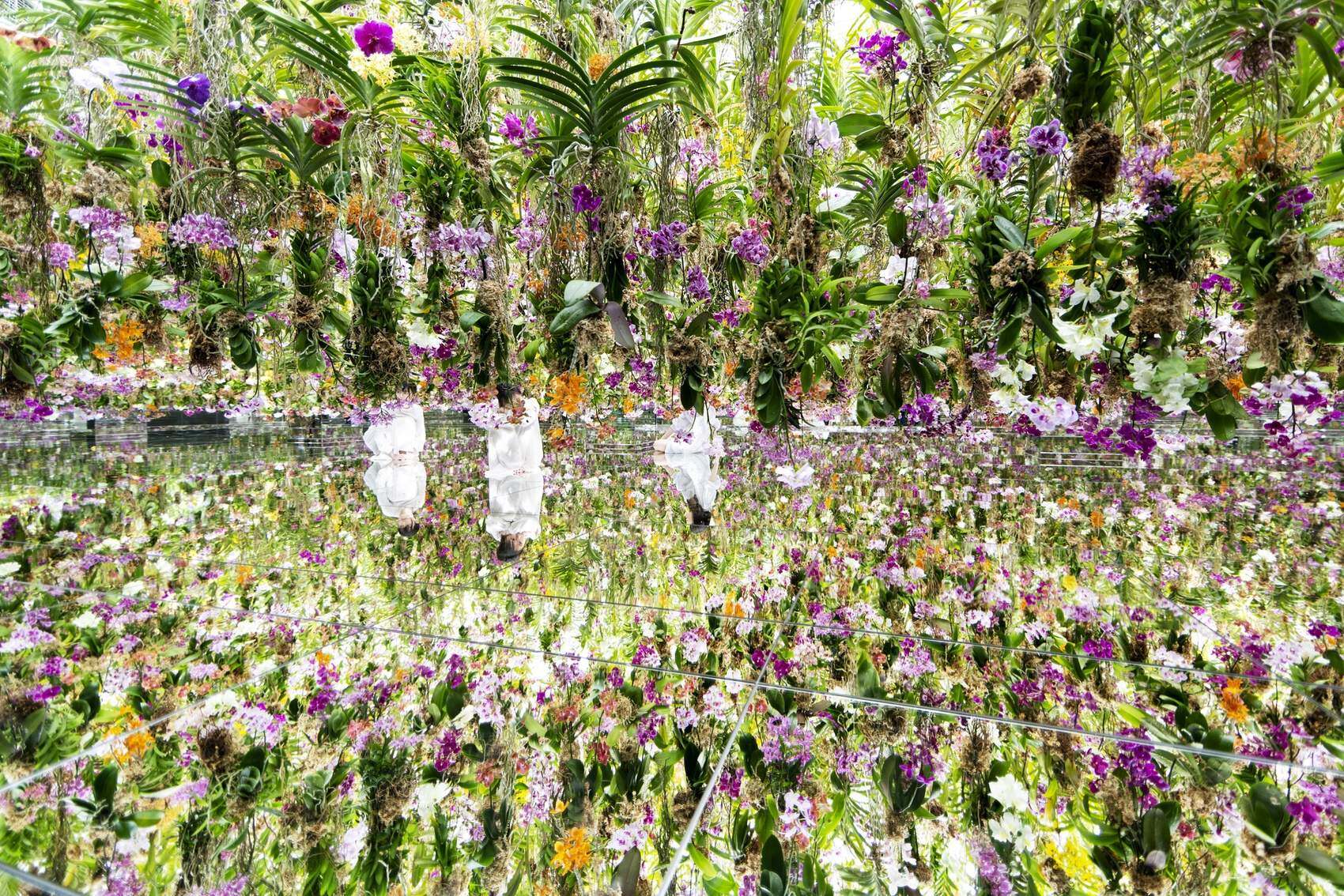 漂浮的花园——花朵与我同根同源，花园与我合为一体 / 澳门teamLab★超自然空间