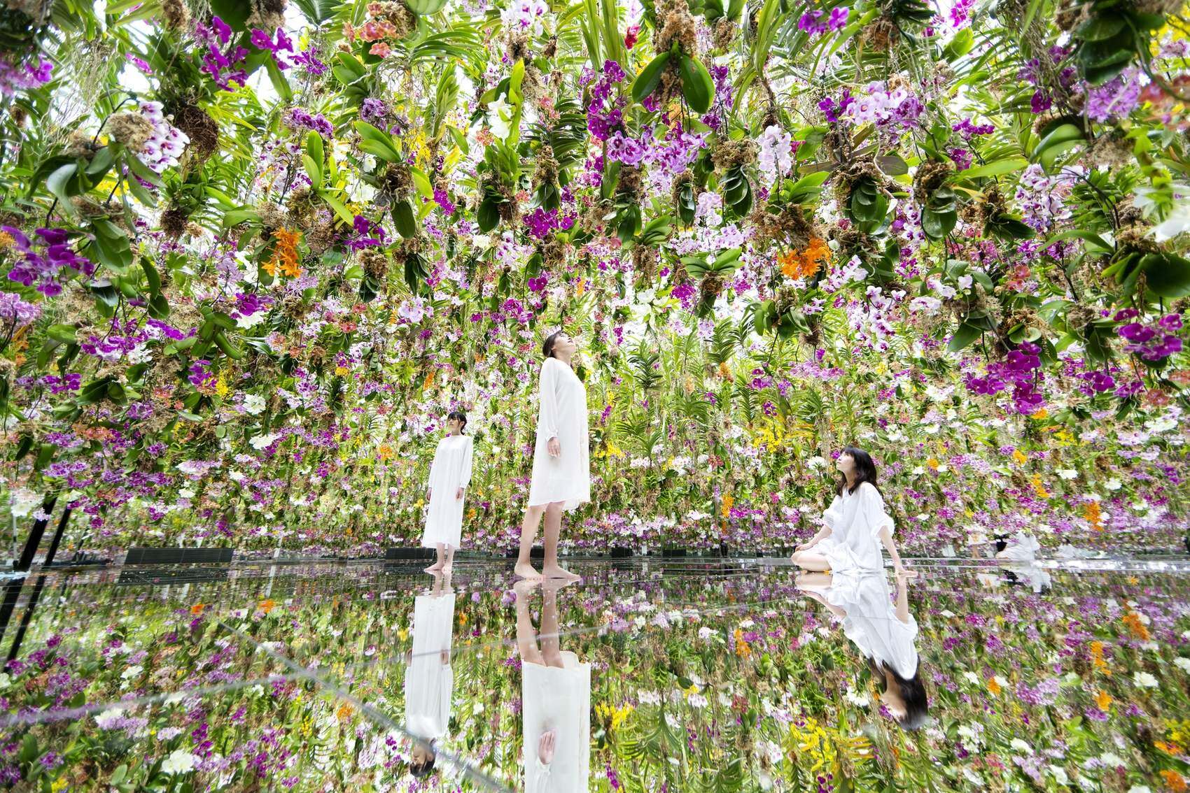 漂浮的花园——花朵与我同根同源，花园与我合为一体 / 澳门teamLab★超自然空间