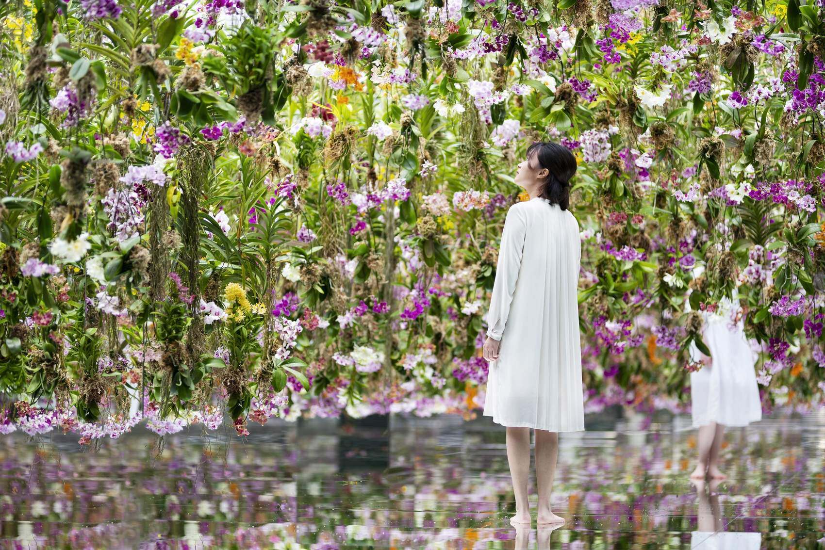 漂浮的花园——花朵与我同根同源，花园与我合为一体 / 澳门teamLab★超自然空间