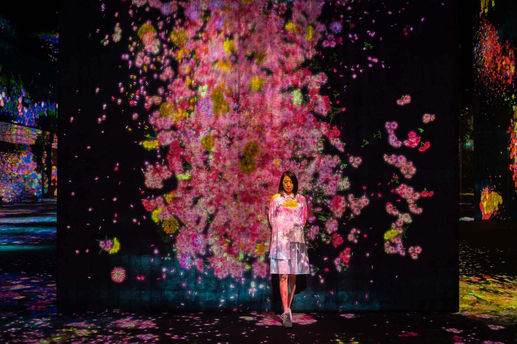 花与人的洼谷：迷失、沉浸与重生 / 澳门teamLab★超自然空间