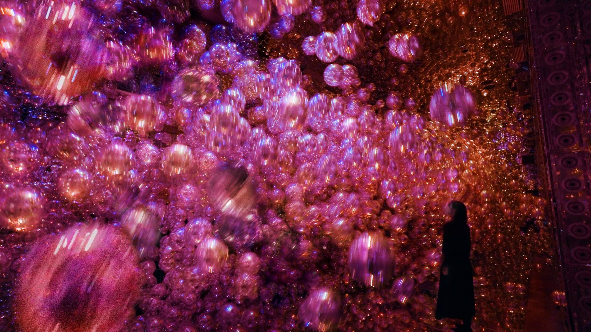 teamLab × 京都新馆开幕｜首批6件作品带你穿越自然与数字的边界